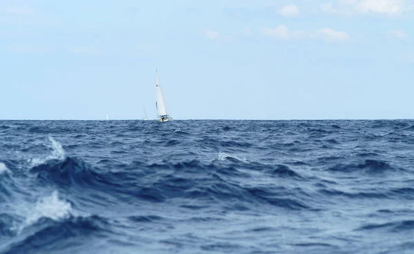 Hvar Croácia Maio Pessoas Não Identificadas Participam Competição Internacional Vela — Fotografia de Stock