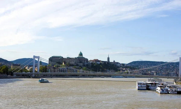 Budapest Panorama Elisabeth Bridge Royal Palace — Stock Photo, Image