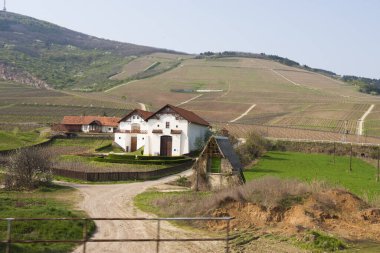 Tokaj-Hetszolo şehri, en iyi Macar şarabının evi.