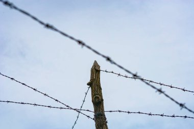 Çitlerdeki dikenli teller