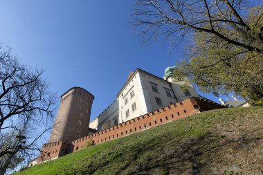 Polonya, Krakow 'daki Dalga Şatosu