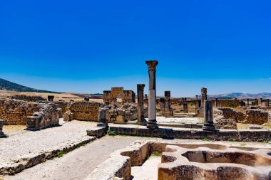 Pamukkale hindisinin kalıntıları.