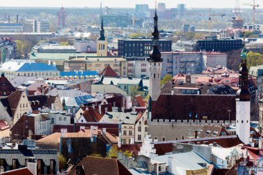 Estonya 'da Tallinn panoramik görünümü