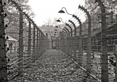 OSWIECIM, POLAND - 22 Ekim 2012 'de Polonya' nın Oswiecim kentinde eski bir Nazi imha kampı olan Auschwitz Kampı 'nda dikenli teller. Avrupa 'daki en büyük Nazi toplama kampıydı.