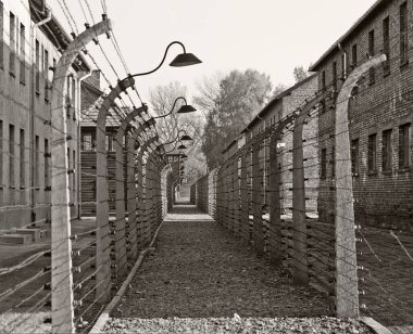 OSWIECIM, POLAND - 22 Ekim 2012 'de Polonya' nın Oswiecim kentinde eski bir Nazi imha kampı olan Auschwitz Kampı 'nda dikenli teller. Avrupa 'daki en büyük Nazi toplama kampıydı.