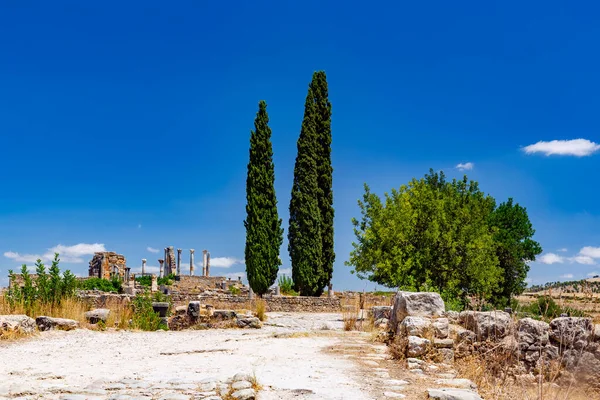 Ruines Ville Antique Pamukkale Dinde — Photo