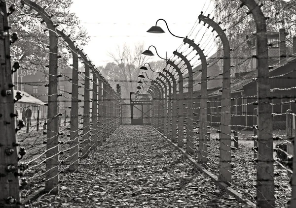 Oswiecim Polonia Ottobre Filo Spinato Nel Campo Auschwitz Campo Sterminio — Foto Stock
