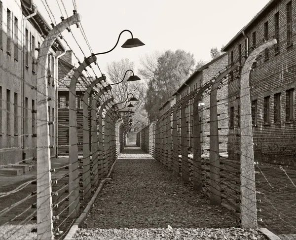 2012年10月22日 ポーランドのオスヴィエチムにある旧ナチスの絶滅収容所であるアウシュビッツ収容所の鉄条網 ヨーロッパ最大のナチスの強制収容所だった — ストック写真