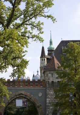 Budapeşte 'deki Vajdahunyad Kalesi.
