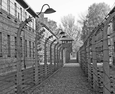 OSWIECIM, POLAND - 22 Ekim 2012 'de Polonya' nın Oswiecim kentinde eski bir Nazi imha kampı olan Auschwitz Kampı 'nda dikenli teller. Avrupa 'daki en büyük Nazi toplama kampıydı.