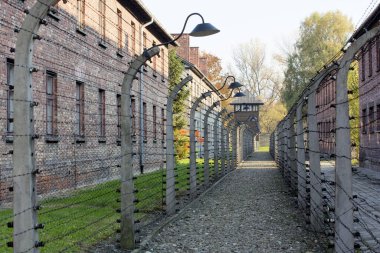 OSWIECIM, POLAND - 22 Ekim 2012 'de Polonya' nın Oswiecim kentinde eski bir Nazi imha kampı olan Auschwitz Kampı 'nda dikenli teller. Avrupa 'daki en büyük Nazi toplama kampıydı.