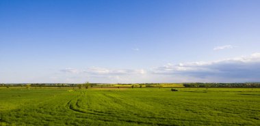 Buğday tarlası ve mavi gökyüzü olan güzel bir manzara.