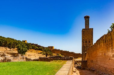 RABAT, Fas - 24 Temmuz 2014: Rabat, Fas 'taki Chellah