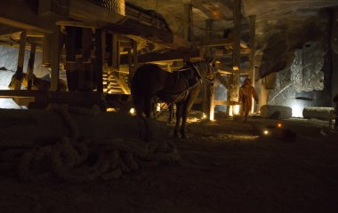 WIELICZKA, POLAND - 23 Ekim: Wieliczka tuz madeni (13. yüzyıl) dünyanın en eski tuz madenlerinden biridir. 9. katta 300 'den fazla koridor ve 300' den fazla odası var. 23 Ekim 2012, Wieliczka, Polonya.