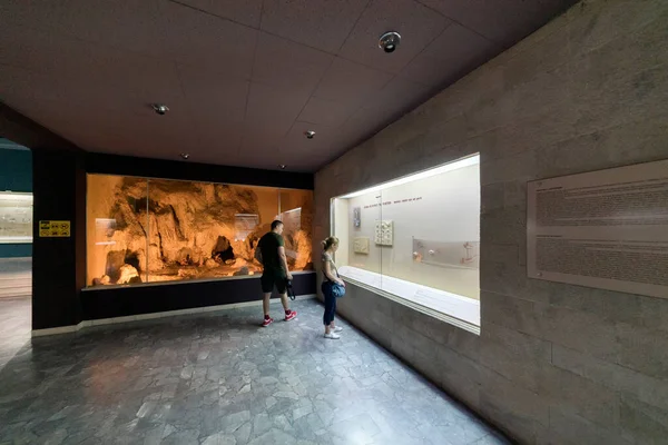 Тирана Албания Мая 2018 Года Интерьер Национального Музея Тираны Центре — стоковое фото