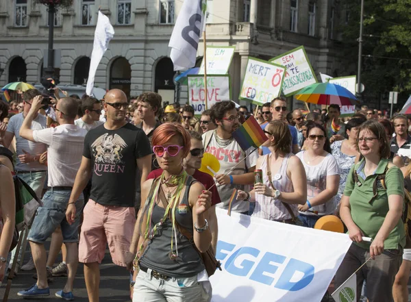 7月6日 不明身份的人参加了2013年7月6日在匈牙利布达佩斯举行的布达佩斯同志骄傲游行 支持男女同性恋 双性恋和变性者的权利 — 图库照片