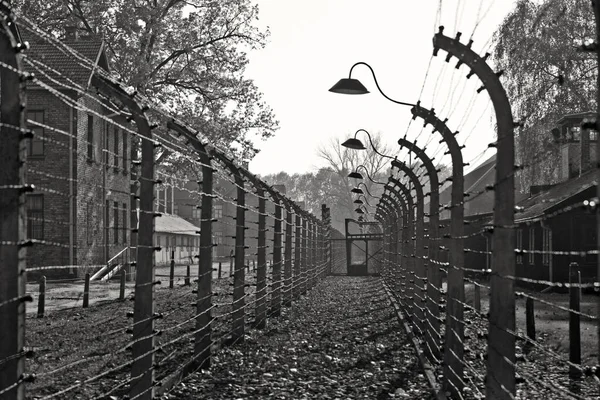 Oswiecim Polska Październik Drut Kolczasty Auschwitz Byłym Nazistowskim Obozie Zagłady — Zdjęcie stockowe