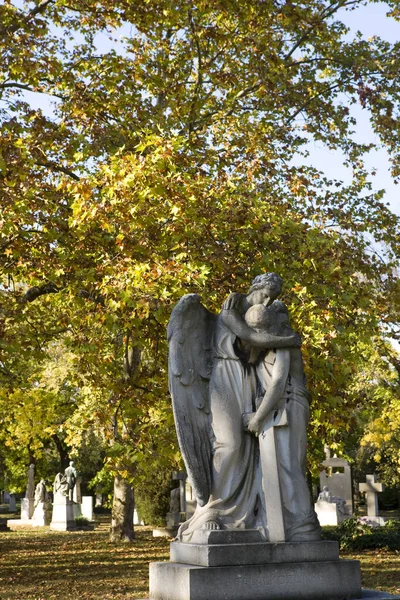 Падение Кладбище Дневное Время Венгрия — стоковое фото