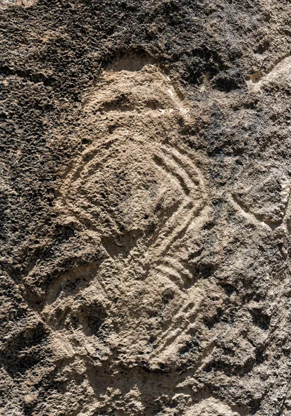 Anciennes Sculptures Rupestres Pétroglyphes Dans Parc National Gobustan Exposition Pétroglyphes — Photo