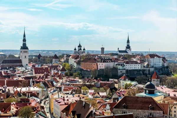 View Tallinn City Estonia — Stock Photo, Image