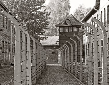 OSWIECIM, POLAND - 22 Ekim 2012 'de Polonya' nın Oswiecim kentinde eski bir Nazi imha kampı olan Auschwitz Kampı 'nda dikenli teller. Avrupa 'daki en büyük Nazi toplama kampıydı.