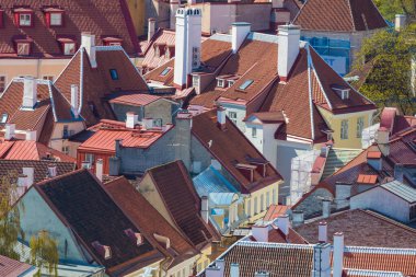Tallinn, Estonya 'da renkli çatılar