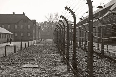 OSWIECIM, POLAND - 22 Ekim 2012 'de Polonya' nın Oswiecim kentinde eski bir Nazi imha kampı olan Auschwitz Kampı 'nda dikenli teller. Avrupa 'daki en büyük Nazi toplama kampıydı.
