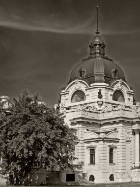 Szechenyi spa binası, Budapeşte 
