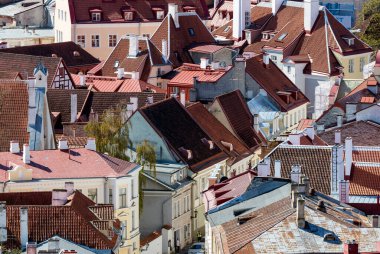 Tallinn, Estonya 'da renkli çatılar