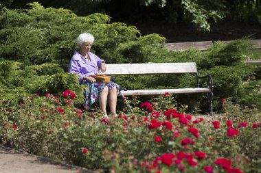 Park bankında oturan son sınıf öğrencisi.