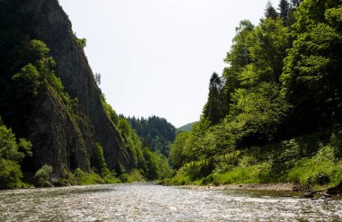 Polonya 'da Dunajec nehri manzarası