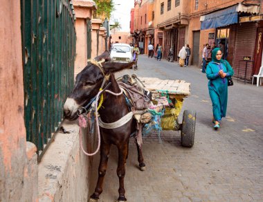 Fas 'taki geleneksel eski şehir