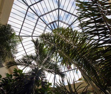 Budapset, Macaristan 'daki Botanik Bahçesi