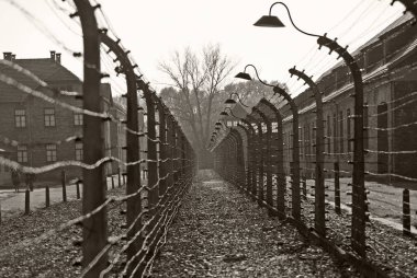 OSWIECIM, POLAND - 22 Ekim 2012 'de Polonya' nın Oswiecim kentinde eski bir Nazi imha kampı olan Auschwitz Kampı 'nda dikenli teller. Avrupa 'daki en büyük Nazi toplama kampıydı.