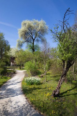 Budapset, Macaristan 'daki Botanik Bahçesi