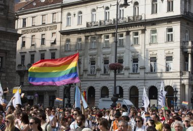 BUDAPEST, HUNGARY - 6 Temmuz 2013 'te Budapeşte, Macaristan' da LGBT (lezbiyen, gey, biseksüel ve transseksüel) haklarını desteklemek için düzenlenen Eşcinsel Onur Yürüyüşüne kimliği belirsiz kişiler katıldı..