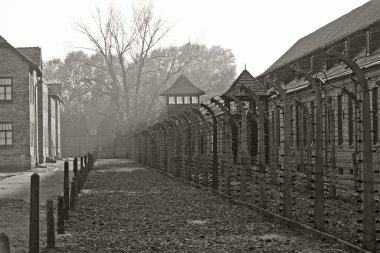 OSWIECIM, POLAND - 22 Ekim 2012 'de Polonya' nın Oswiecim kentinde eski bir Nazi imha kampı olan Auschwitz Kampı 'nda dikenli teller. Avrupa 'daki en büyük Nazi toplama kampıydı.