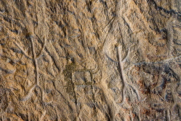 Αρχαία Πετρογλυφικά Πετρογλυπτά Βράχων Στο Εθνικό Πάρκο Του Γκόμπουσταν Έκθεση — Φωτογραφία Αρχείου