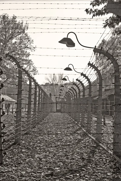 Oswiecim Polska Październik Drut Kolczasty Auschwitz Byłym Nazistowskim Obozie Zagłady — Zdjęcie stockowe