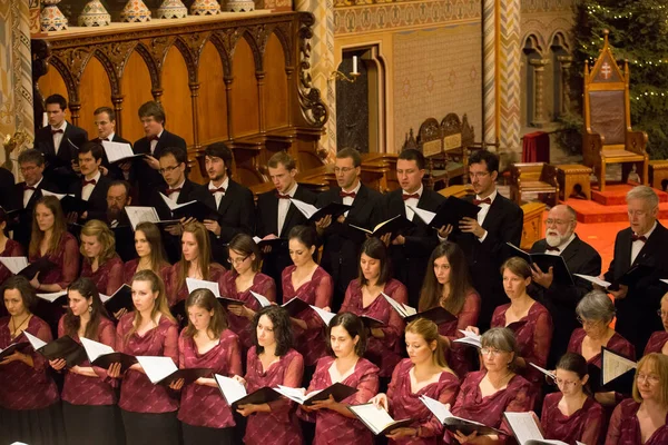 Konzert Klassischer Musik Konzertsaal — Stockfoto