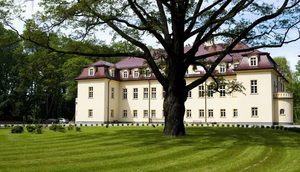 Vieux Château Silésie Pologne — Photo