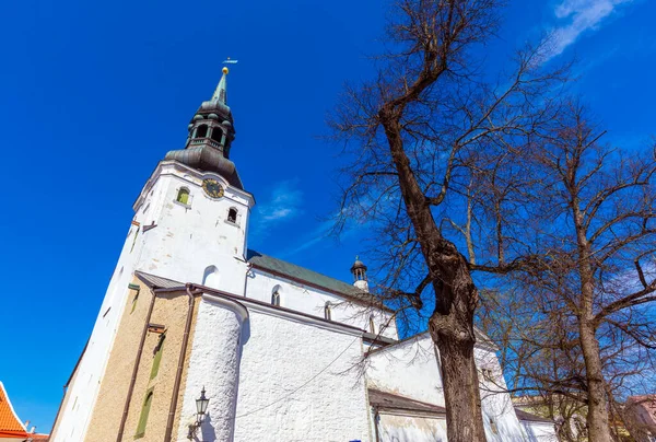 Iglesia Del Espíritu Santo Tallin — Foto de Stock