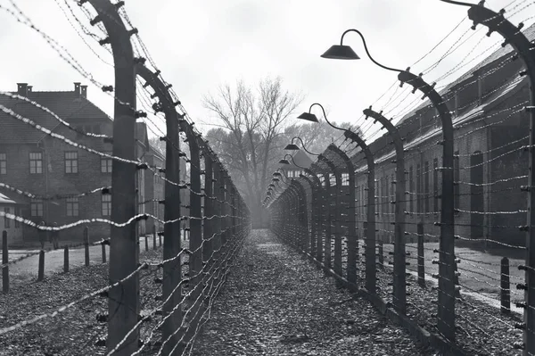 Oswiecim Polen October Pigtråd Auschwitz Camp Tidligere Nazistisk Udryddelseslejr 2012 - Stock-foto