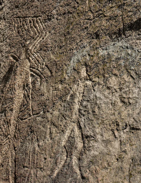 ゴブスタン国立公園の古代の岩の彫刻ペトログリフ アゼルバイジャンのバクー近郊のゴブスタンでのペトログリフの展示 — ストック写真