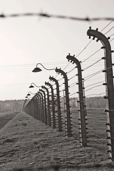 Освецим Польша Октября Колючая Проволока Лагере Освенцим Бывшем Нацистском Лагере — стоковое фото