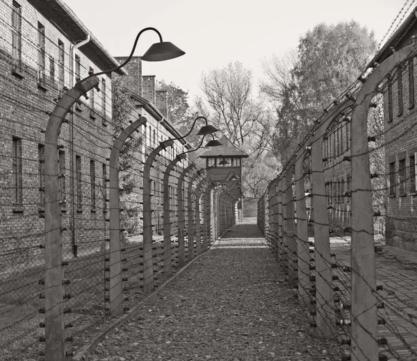 Oswiecim Πολωνία Οκτωβρίου Συρματοπλέγματα Στο Στρατόπεδο Άουσβιτς Πρώην Στρατόπεδο Εξόντωσης — Φωτογραφία Αρχείου