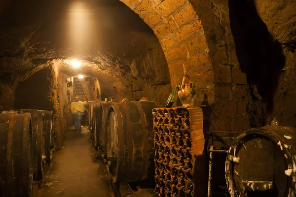 Bacharach Germany June 2012 Wine Cellar Interior Bacharach Germany — Stock Photo, Image