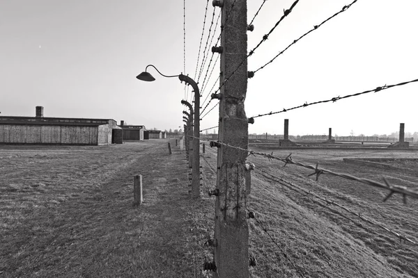 Oswiecim Polska Październik Drut Kolczasty Auschwitz Byłym Nazistowskim Obozie Zagłady — Zdjęcie stockowe