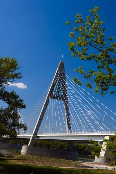 Megyeri Bridge Hungary Newest Largest Bridge — Stock Photo, Image