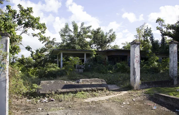 拥有树木和植物生长的废弃财产Bayamon Puerto Ric — 图库照片